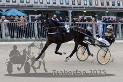 Dateiname=20251012_r08c_010_R08_0451.jpg
Dateigröße=290KB
Abmessungen: 1000x667
hinzugefügt am: 14. Oktober 2025 20251012_r08c_010_R08_0451.jpg