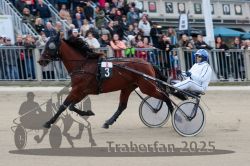 Dateiname=20251012_r08c_016_R08_0476.jpg
Dateigröße=290KB
Abmessungen: 1000x667
hinzugefügt am: 14. Oktober 2025 20251012_r08c_016_R08_0476.jpg