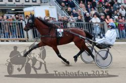 Dateiname=20251012_r08c_017_R08_0478.jpg
Dateigröße=281KB
Abmessungen: 1000x667
hinzugefügt am: 14. Oktober 2025 20251012_r08c_017_R08_0478.jpg