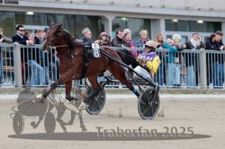 Dateiname=20251012_r08c_020_R08_0486.jpg
Dateigröße=281KB
Abmessungen: 1000x667
hinzugefügt am: 14. Oktober 2025 20251012_r08c_020_R08_0486.jpg