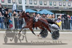 Dateiname=20251012_r08c_024_R08_0499.jpg
Dateigröße=291KB
Abmessungen: 1000x667
hinzugefügt am: 14. Oktober 2025 20251012_r08c_024_R08_0499.jpg