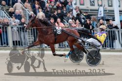 Dateiname=20251012_r08c_026_R08_0503.jpg
Dateigröße=301KB
Abmessungen: 1000x667
hinzugefügt am: 14. Oktober 2025 20251012_r08c_026_R08_0503.jpg