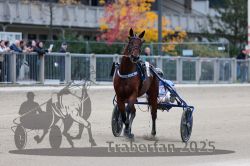 Dateiname=20251012_r08c_033_R08_0527.jpg
Dateigröße=264KB
Abmessungen: 1000x667
hinzugefügt am: 14. Oktober 2025 20251012_r08c_033_R08_0527.jpg