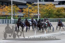 Dateiname=20251012_r08c_035_R08_0533.jpg
Dateigröße=300KB
Abmessungen: 1000x667
hinzugefügt am: 14. Oktober 2025 20251012_r08c_035_R08_0533.jpg