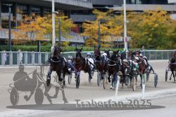 Dateiname=20251012_r08c_036_R08_0537.jpg
Dateigröße=302KB
Abmessungen: 1000x667
hinzugefügt am: 14. Oktober 2025 20251012_r08c_036_R08_0537.jpg