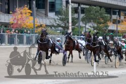 Dateiname=20251012_r08c_040_R08_0548.jpg
Dateigröße=299KB
Abmessungen: 1000x667
hinzugefügt am: 14. Oktober 2025 20251012_r08c_040_R08_0548.jpg