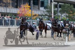 Dateiname=20251012_r08c_041_R08_0552.jpg
Dateigröße=309KB
Abmessungen: 1000x667
hinzugefügt am: 14. Oktober 2025 20251012_r08c_041_R08_0552.jpg