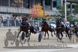 Dateiname=20251012_r08c_042_R08_0555.jpg
Dateigröße=295KB
Abmessungen: 1000x667
hinzugefügt am: 14. Oktober 2025 20251012_r08c_042_R08_0555.jpg