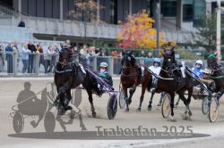 Dateiname=20251012_r08c_043_R08_0558.jpg
Dateigröße=285KB
Abmessungen: 1000x667
hinzugefügt am: 14. Oktober 2025 20251012_r08c_043_R08_0558.jpg