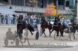 Dateiname=20251012_r08c_044_R08_0559.jpg
Dateigröße=293KB
Abmessungen: 1000x667
hinzugefügt am: 14. Oktober 2025 20251012_r08c_044_R08_0559.jpg