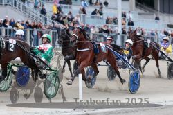 Dateiname=20251012_r08c_052_R08_0584.jpg
Dateigröße=322KB
Abmessungen: 1000x667
hinzugefügt am: 14. Oktober 2025 20251012_r08c_052_R08_0584.jpg