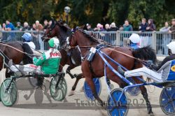 Dateiname=20251012_r08c_053_R08_0590.jpg
Dateigröße=337KB
Abmessungen: 1000x667
hinzugefügt am: 14. Oktober 2025 20251012_r08c_053_R08_0590.jpg