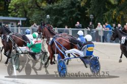 Dateiname=20251012_r08c_055_R08_0598.jpg
Dateigröße=306KB
Abmessungen: 1000x667
hinzugefügt am: 14. Oktober 2025 20251012_r08c_055_R08_0598.jpg