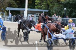 Dateiname=20251012_r08c_058_R08_0611.jpg
Dateigröße=315KB
Abmessungen: 1000x667
hinzugefügt am: 14. Oktober 2025 20251012_r08c_058_R08_0611.jpg