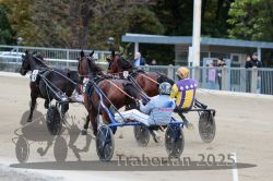 Dateiname=20251012_r08c_060_R08_0618.jpg
Dateigröße=296KB
Abmessungen: 1000x667
hinzugefügt am: 14. Oktober 2025 20251012_r08c_060_R08_0618.jpg