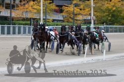 Dateiname=20251012_r08c_066_R08_0634.jpg
Dateigröße=294KB
Abmessungen: 1000x667
hinzugefügt am: 14. Oktober 2025 20251012_r08c_066_R08_0634.jpg