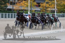 Dateiname=20251012_r08c_068_R08_0638.jpg
Dateigröße=298KB
Abmessungen: 1000x667
hinzugefügt am: 14. Oktober 2025 20251012_r08c_068_R08_0638.jpg