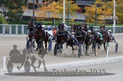 Dateiname=20251012_r08c_069_R08_0641.jpg
Dateigröße=300KB
Abmessungen: 1000x667
hinzugefügt am: 14. Oktober 2025 20251012_r08c_069_R08_0641.jpg