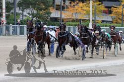 Dateiname=20251012_r08c_071_R08_0647.jpg
Dateigröße=307KB
Abmessungen: 1000x667
hinzugefügt am: 14. Oktober 2025 20251012_r08c_071_R08_0647.jpg