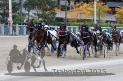 Dateiname=20251012_r08c_072_R08_0648.jpg
Dateigröße=303KB
Abmessungen: 1000x667
hinzugefügt am: 14. Oktober 2025 20251012_r08c_072_R08_0648.jpg