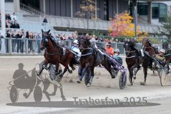 Dateiname=20251012_r08c_076_R08_0659.jpg
Dateigröße=303KB
Abmessungen: 1000x667
hinzugefügt am: 14. Oktober 2025 20251012_r08c_076_R08_0659.jpg