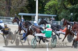 Dateiname=20251012_r08c_086_R08_0692.jpg
Dateigröße=333KB
Abmessungen: 1000x667
hinzugefügt am: 14. Oktober 2025 20251012_r08c_086_R08_0692.jpg