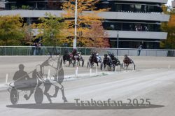 Dateiname=20251012_r08c_087_R08_0697.jpg
Dateigröße=308KB
Abmessungen: 1000x667
hinzugefügt am: 14. Oktober 2025 20251012_r08c_087_R08_0697.jpg