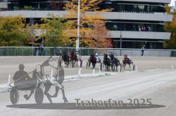 Dateiname=20251012_r08c_088_R08_0700.jpg
Dateigröße=298KB
Abmessungen: 1000x667
hinzugefügt am: 14. Oktober 2025 20251012_r08c_088_R08_0700.jpg