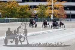 Dateiname=20251012_r08c_092_R08_0712.jpg
Dateigröße=322KB
Abmessungen: 1000x667
hinzugefügt am: 14. Oktober 2025 20251012_r08c_092_R08_0712.jpg