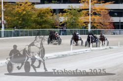 Dateiname=20251012_r08c_093_R08_0715.jpg
Dateigröße=328KB
Abmessungen: 1000x667
hinzugefügt am: 14. Oktober 2025 20251012_r08c_093_R08_0715.jpg