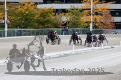 Dateiname=20251012_r08c_094_R08_0718.jpg
Dateigröße=330KB
Abmessungen: 1000x667
hinzugefügt am: 14. Oktober 2025 20251012_r08c_094_R08_0718.jpg