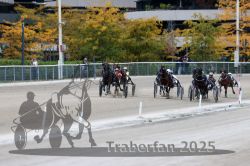 Dateiname=20251012_r08c_096_R08_0724.jpg
Dateigröße=326KB
Abmessungen: 1000x667
hinzugefügt am: 14. Oktober 2025 20251012_r08c_096_R08_0724.jpg