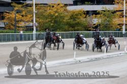 Dateiname=20251012_r08c_099_R08_0730.jpg
Dateigröße=310KB
Abmessungen: 1000x667
hinzugefügt am: 14. Oktober 2025 20251012_r08c_099_R08_0730.jpg