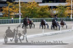 Dateiname=20251012_r08c_100_R08_0733.jpg
Dateigröße=311KB
Abmessungen: 1000x667
hinzugefügt am: 14. Oktober 2025 20251012_r08c_100_R08_0733.jpg