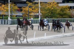 Dateiname=20251012_r08c_104_R08_0742.jpg
Dateigröße=298KB
Abmessungen: 1000x667
hinzugefügt am: 14. Oktober 2025 20251012_r08c_104_R08_0742.jpg