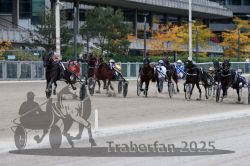 Dateiname=20251012_r08c_111_R08_0756.jpg
Dateigröße=302KB
Abmessungen: 1000x667
hinzugefügt am: 14. Oktober 2025 20251012_r08c_111_R08_0756.jpg