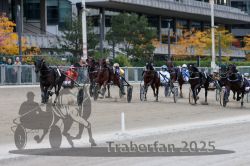 Dateiname=20251012_r08c_113_R08_0760.jpg
Dateigröße=300KB
Abmessungen: 1000x667
hinzugefügt am: 14. Oktober 2025 20251012_r08c_113_R08_0760.jpg