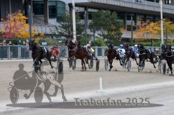 Dateiname=20251012_r08c_114_R08_0762.jpg
Dateigröße=294KB
Abmessungen: 1000x667
hinzugefügt am: 14. Oktober 2025 20251012_r08c_114_R08_0762.jpg