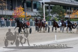 Dateiname=20251012_r08c_116_R08_0765.jpg
Dateigröße=299KB
Abmessungen: 1000x667
hinzugefügt am: 14. Oktober 2025 20251012_r08c_116_R08_0765.jpg