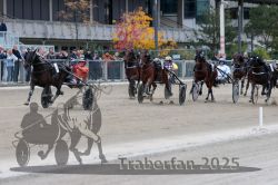 Dateiname=20251012_r08c_117_R08_0766.jpg
Dateigröße=310KB
Abmessungen: 1000x667
hinzugefügt am: 14. Oktober 2025 20251012_r08c_117_R08_0766.jpg