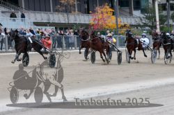 Dateiname=20251012_r08c_118_R08_0769.jpg
Dateigröße=282KB
Abmessungen: 1000x667
hinzugefügt am: 14. Oktober 2025 20251012_r08c_118_R08_0769.jpg