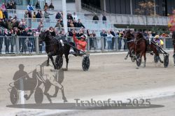 Dateiname=20251012_r08c_121_R08_0774.jpg
Dateigröße=307KB
Abmessungen: 1000x667
hinzugefügt am: 14. Oktober 2025 20251012_r08c_121_R08_0774.jpg