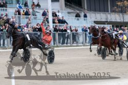 Dateiname=20251012_r08c_123_R08_0776.jpg
Dateigröße=304KB
Abmessungen: 1000x667
hinzugefügt am: 14. Oktober 2025 20251012_r08c_123_R08_0776.jpg