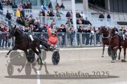 Dateiname=20251012_r08c_124_R08_0778.jpg
Dateigröße=309KB
Abmessungen: 1000x667
hinzugefügt am: 14. Oktober 2025 20251012_r08c_124_R08_0778.jpg