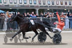 Dateiname=20251012_r08c_141_R08_0795.jpg
Dateigröße=284KB
Abmessungen: 1000x667
hinzugefügt am: 14. Oktober 2025 20251012_r08c_141_R08_0795.jpg