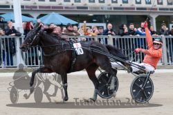 Dateiname=20251012_r08c_143_R08_0797.jpg
Dateigröße=287KB
Abmessungen: 1000x667
hinzugefügt am: 14. Oktober 2025 20251012_r08c_143_R08_0797.jpg