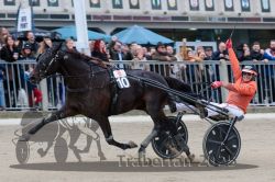 Dateiname=20251012_r08c_144_R08_0798.jpg
Dateigröße=291KB
Abmessungen: 1000x667
hinzugefügt am: 14. Oktober 2025 20251012_r08c_144_R08_0798.jpg