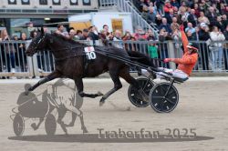 Dateiname=20251012_r08c_151_R08_0805.jpg
Dateigröße=293KB
Abmessungen: 1000x667
hinzugefügt am: 14. Oktober 2025 20251012_r08c_151_R08_0805.jpg