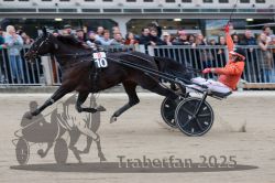 Dateiname=20251012_r08c_155_R08_0809.jpg
Dateigröße=273KB
Abmessungen: 1000x667
hinzugefügt am: 14. Oktober 2025 20251012_r08c_155_R08_0809.jpg