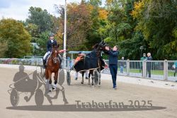 Dateiname=20251012_r08d_003_CR5_0363.jpg
Dateigröße=407KB
Abmessungen: 1000x667
hinzugefügt am: 14. Oktober 2025 20251012_r08d_003_CR5_0363.jpg